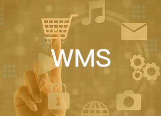 供应链公司需要什么样的wms仓库管理系统？